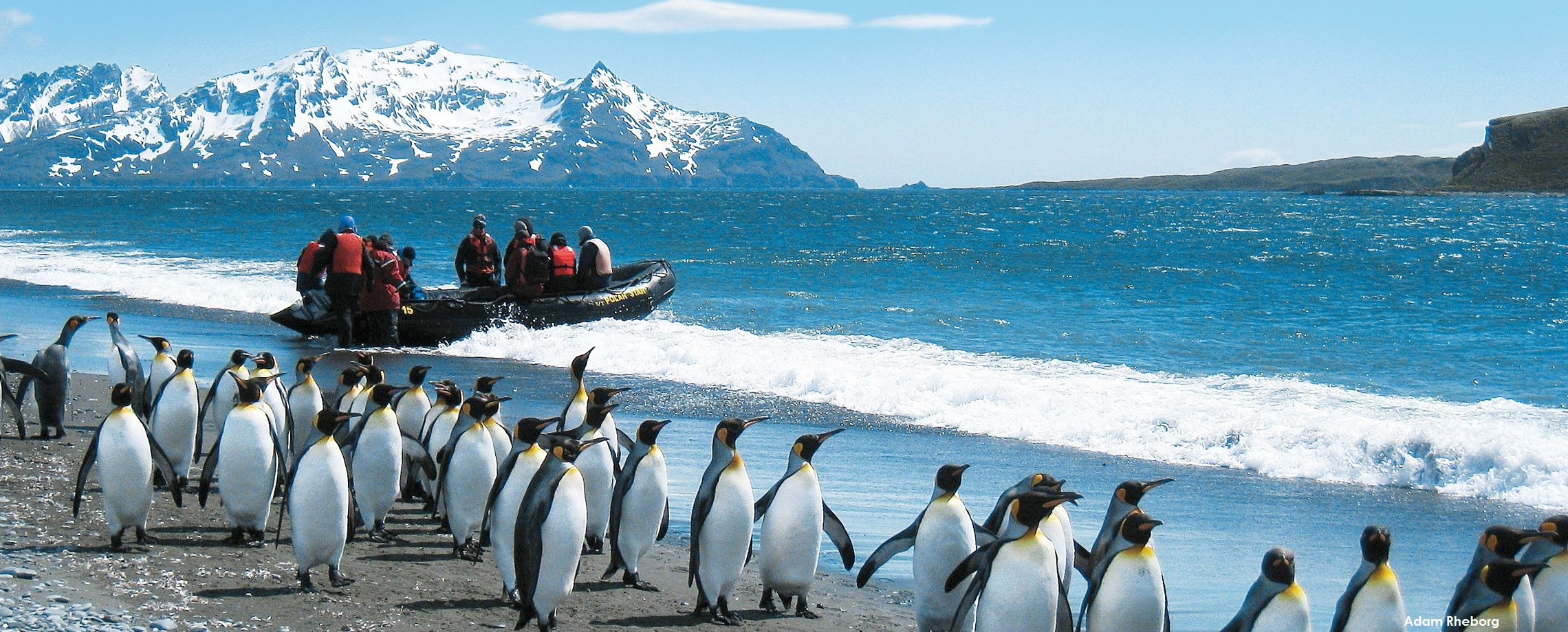Pingvin Antarktis.jpg (4)